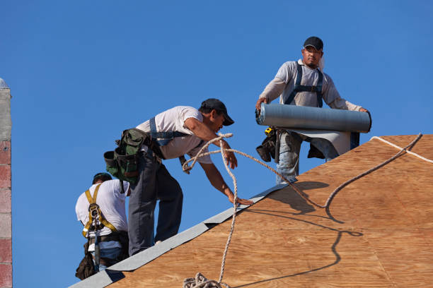 Roof Waterproofing Services in Shelley, ID